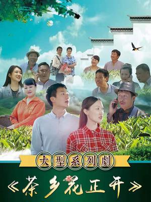 茶乡花正开