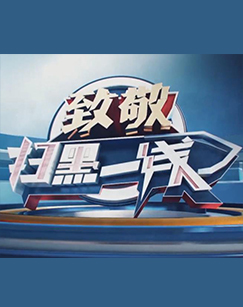致敬扫黑一线