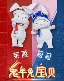 兔年兔宝贝