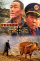 法官老张轶事之审牛记